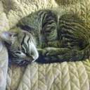 trueromantic1 avatar