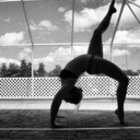 truestatementfalse avatar