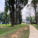 truestorymaybet0ld avatar