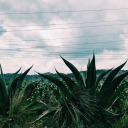 trulyforever-yours avatar