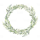 trustlabyrinth avatar