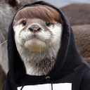 trustme-whatever avatar