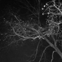 truthfulliessacredeyes avatar