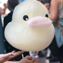 truthhonestyreality avatar