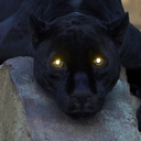 truthislove-always avatar