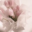 truthspeakers avatar