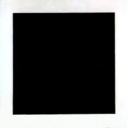 truthtruthtruthtruth avatar