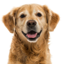 truuulyevilllnakayu avatar