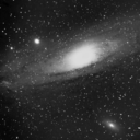 trvppy-kxrmit avatar