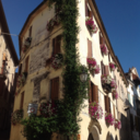 tryagainpersonal avatar