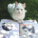 trying-tobreath avatar