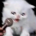 tryingmyhardest8 avatar