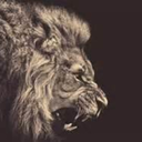 tryingnottogaf-blog avatar