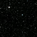 tryingto-survivee avatar