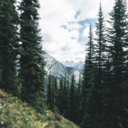 tryingtobehappywithme avatar