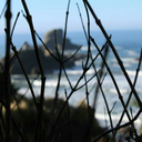 trytoforgetyourself avatar