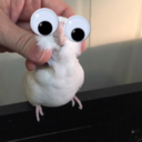 trytoholdmedown avatar