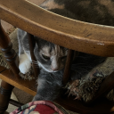 trytoohard678 avatar