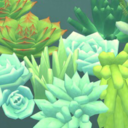 trytostudyblr avatar