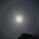 tsdirtyshirley avatar