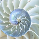 tselentis-arch-blog avatar