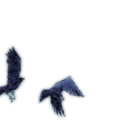 tsumetaihikari avatar