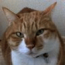 tsumorou-blog avatar