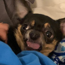 tsunamitidestotheeyes avatar