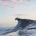 tthe-struggle avatar