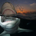 tthesocialoutcastss avatar