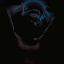 tu-lord-stark avatar