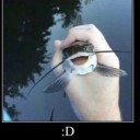 tualoversworld avatar