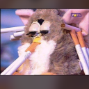 tuba-furby-queen avatar