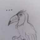 tuca-sketches avatar