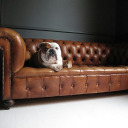 tularosabound avatar