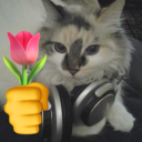 tuliippaws avatar