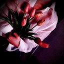 tulipmusings avatar