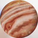 tulips-over-roses avatar