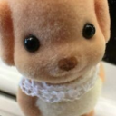 tulips-with-honey avatar