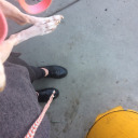 tulipsalinger avatar