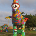 tulipsaregrand avatar