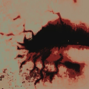 tulipwrites-sorta avatar