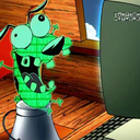 tulpaseanbush avatar