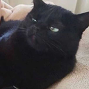 tulvilagisetak avatar