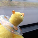 tumanniksweetybooy avatar