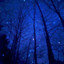 tumbler-tumbler99 avatar