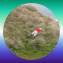 tumblesdownhill avatar