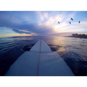 tumblingintoinsanity avatar