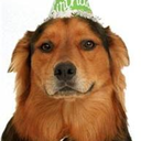 tumblingtumblweeds avatar