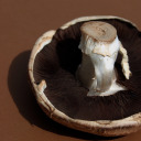 tunapastabake avatar